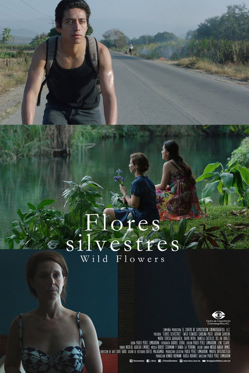 Wild Flowers trailer