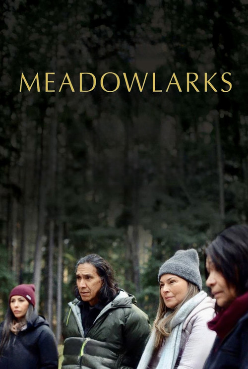 Meadowlarks trailer
