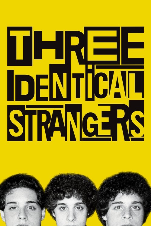 Three Identical Strangers trailer