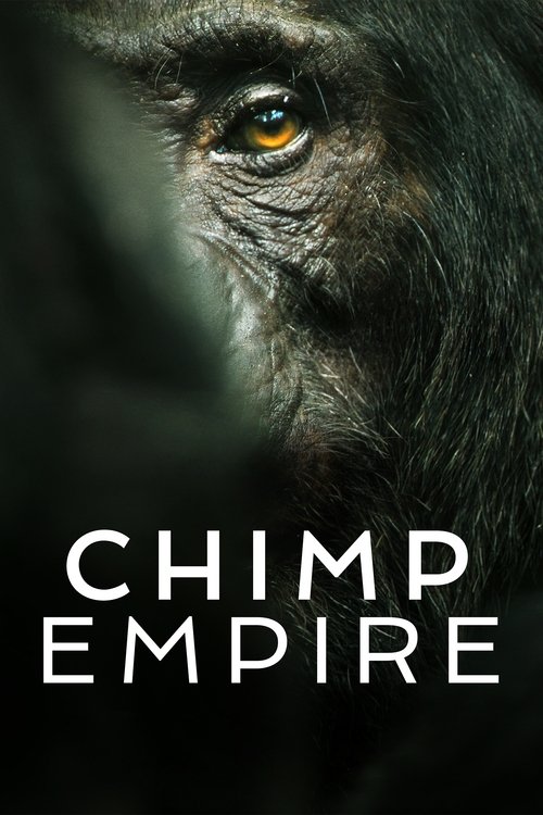 Chimp Empire trailer