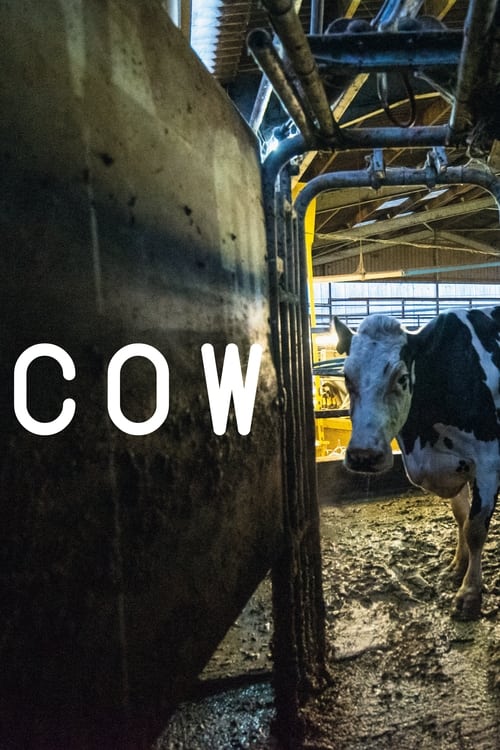 Cow trailer