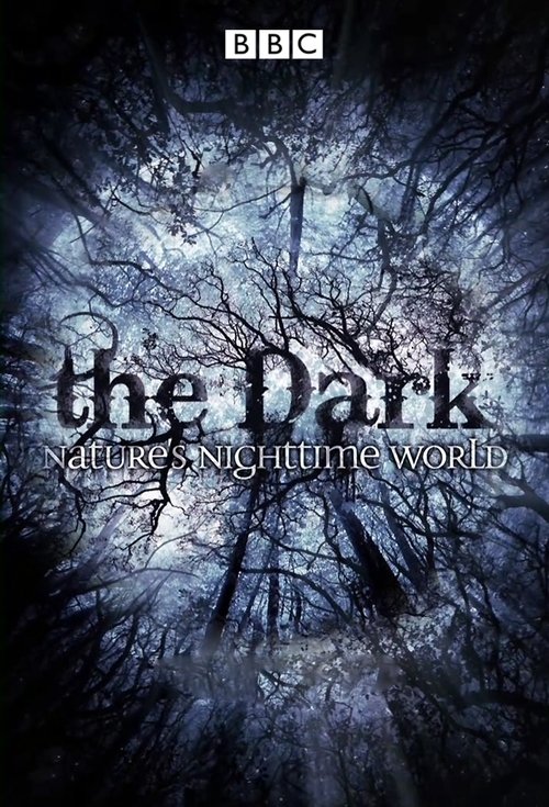 The Dark: Nature's Nighttime World trailer