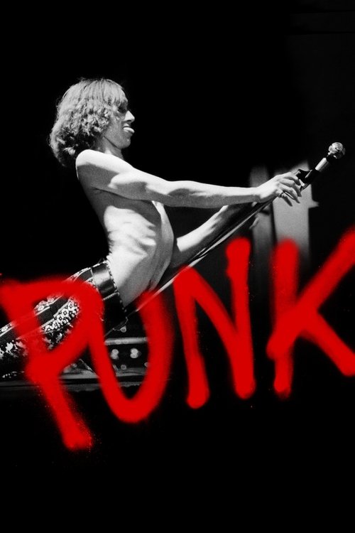 Punk trailer