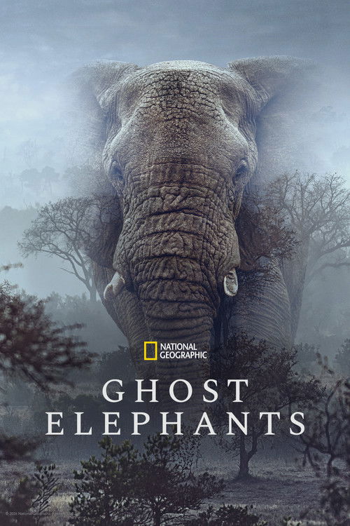 Ghost Elephants trailer