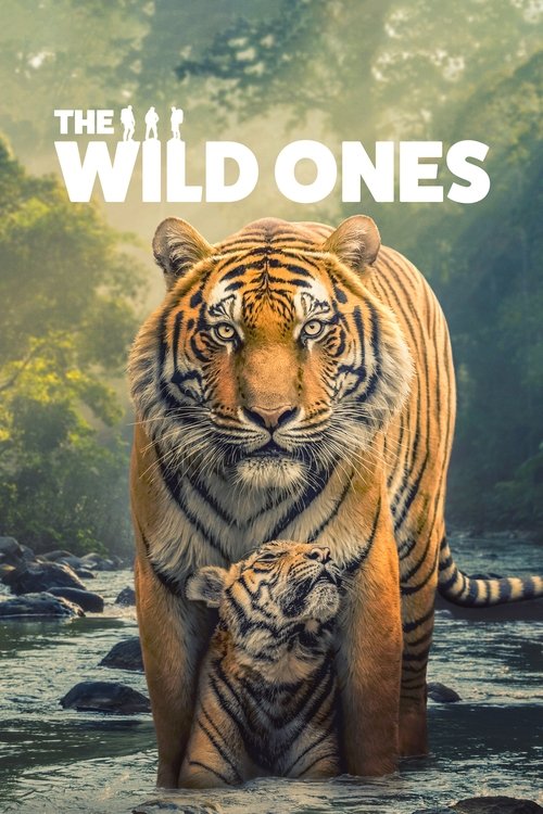 The Wild Ones trailer