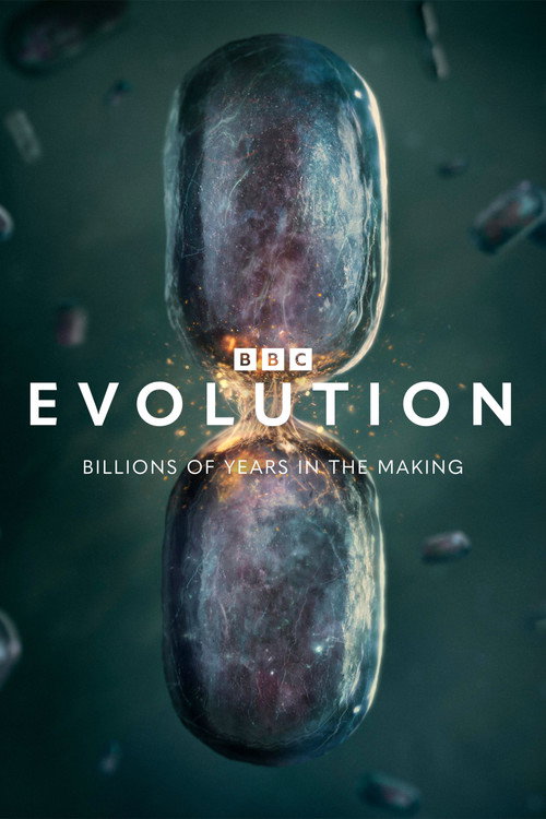 Evolution trailer