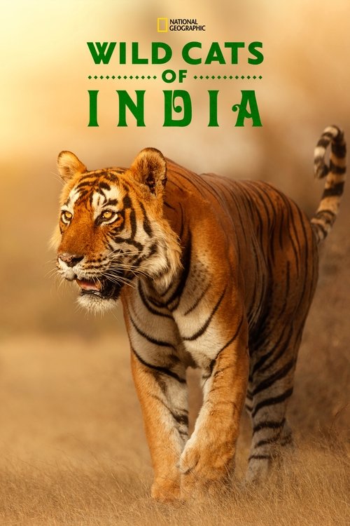 Wild Cats of India trailer