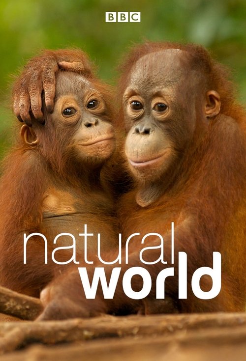Natural World trailer