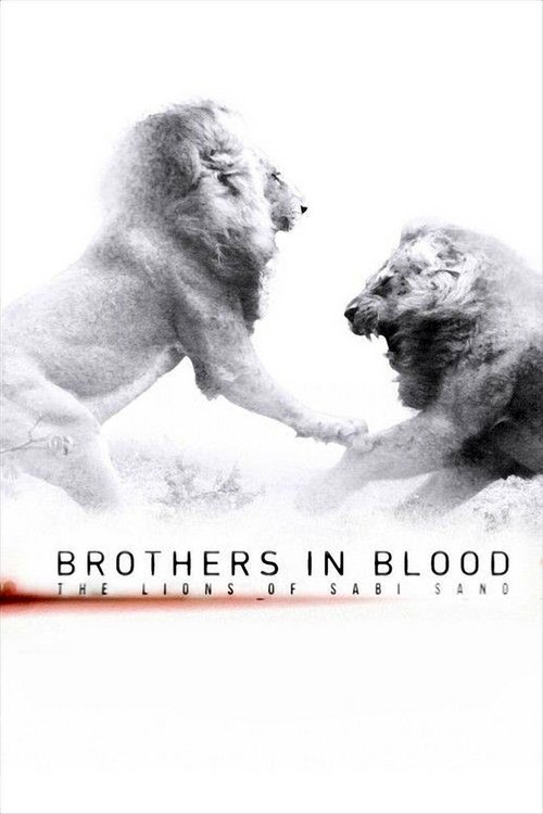 Brothers in Blood: The Lions of Sabi Sand trailer