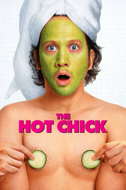 The Hot Chick trailer