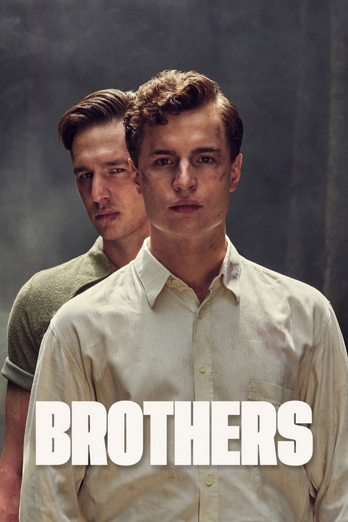 Brothers trailer