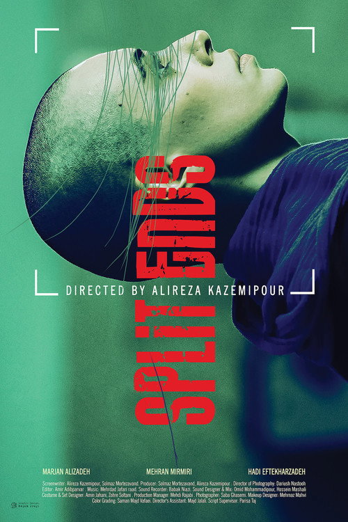 Split Ends trailer