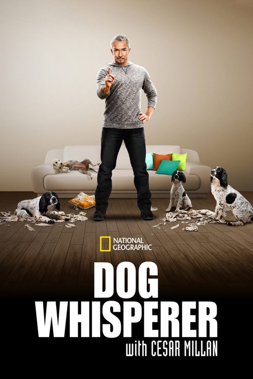 Dog Whisperer trailer