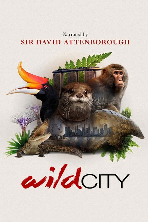 Wild City trailer