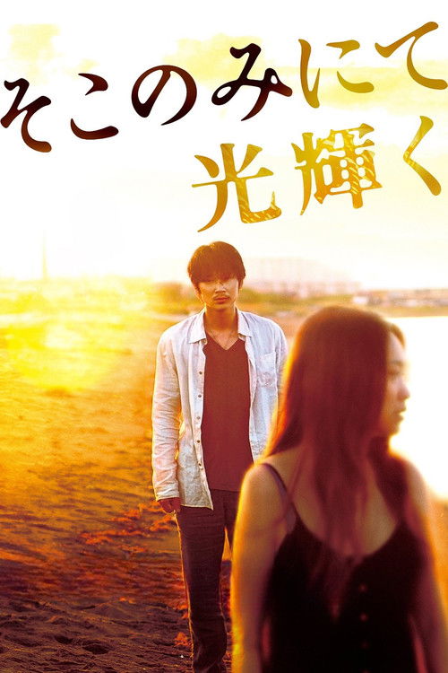 The Light Shines Only There trailer