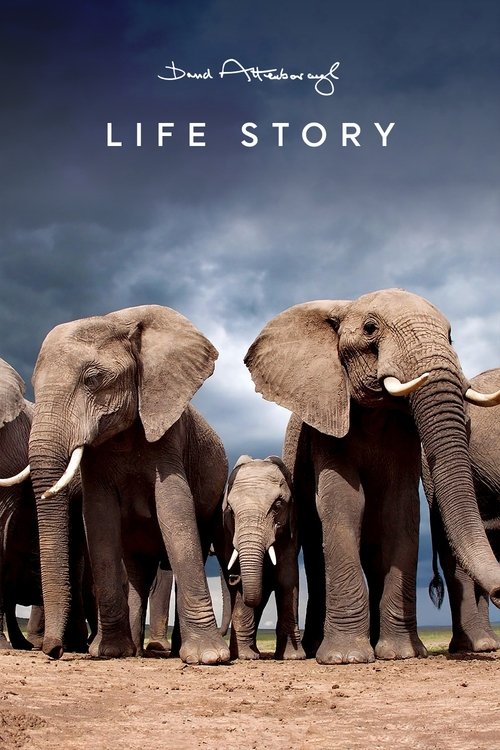 Life Story trailer