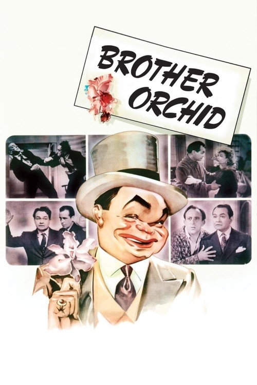 Brother Orchid trailer