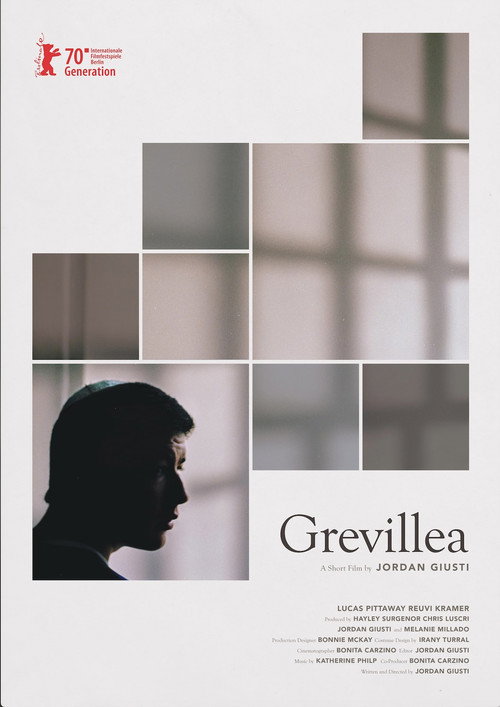 Grevillea trailer