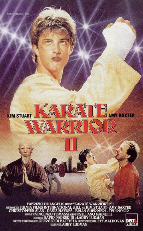 Karate Warrior 2 trailer