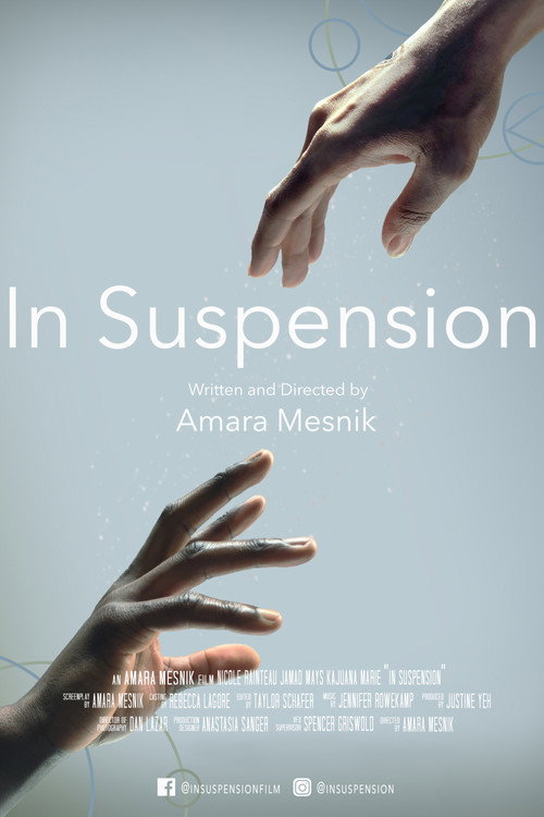 In Suspension trailer