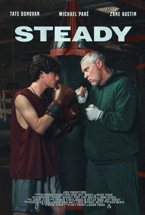 Steady trailer