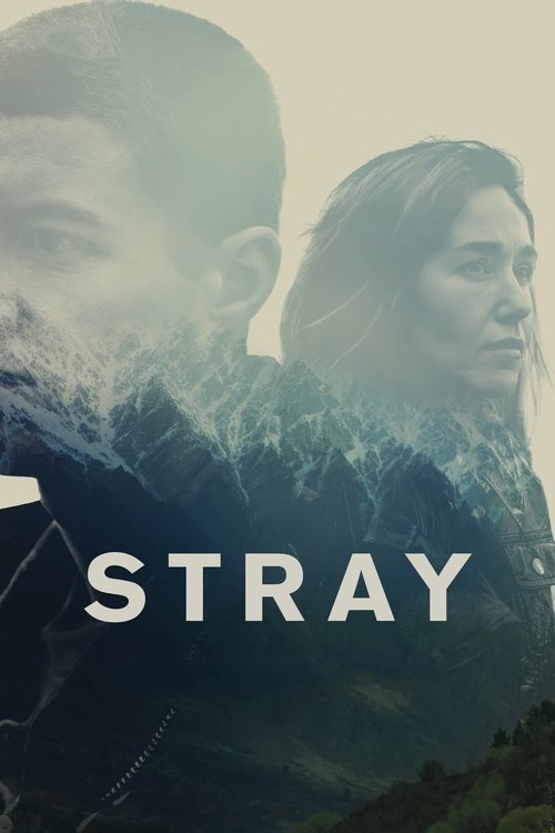 Stray trailer