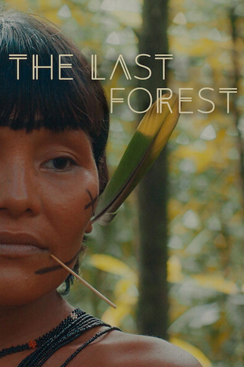 The Last Forest trailer