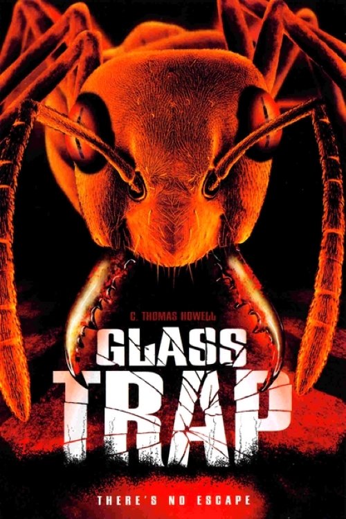 Glass Trap trailer