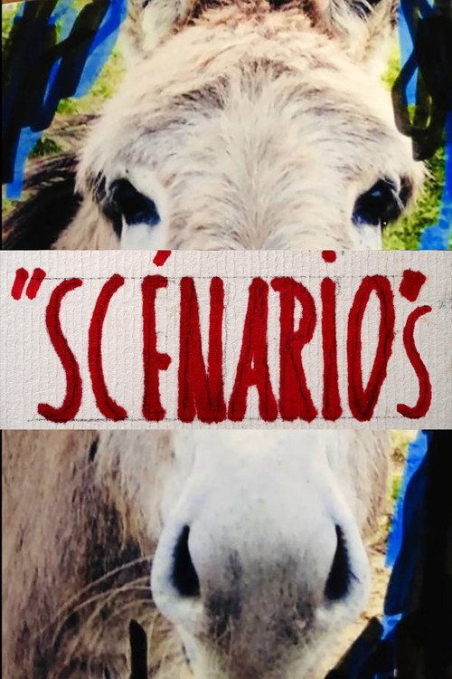 Scénarios trailer