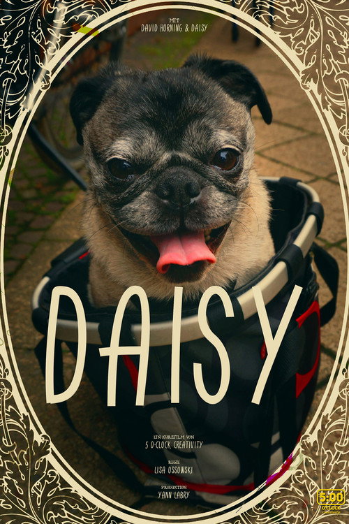 Daisy trailer