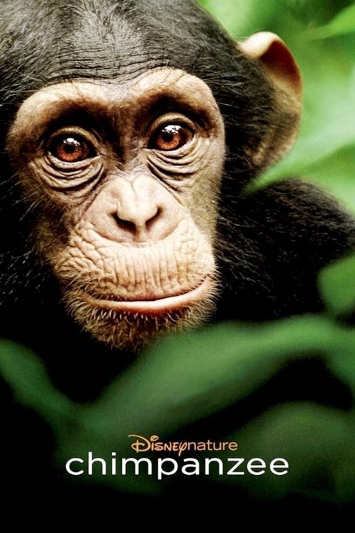 Chimpanzee trailer