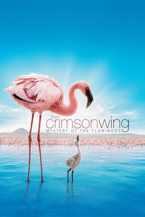 The Crimson Wing: Mystery of the Flamingos trailer